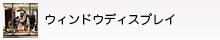 ウィンドウディスプレイ