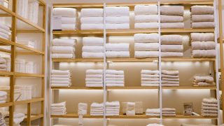 shutterstock_2581600905-